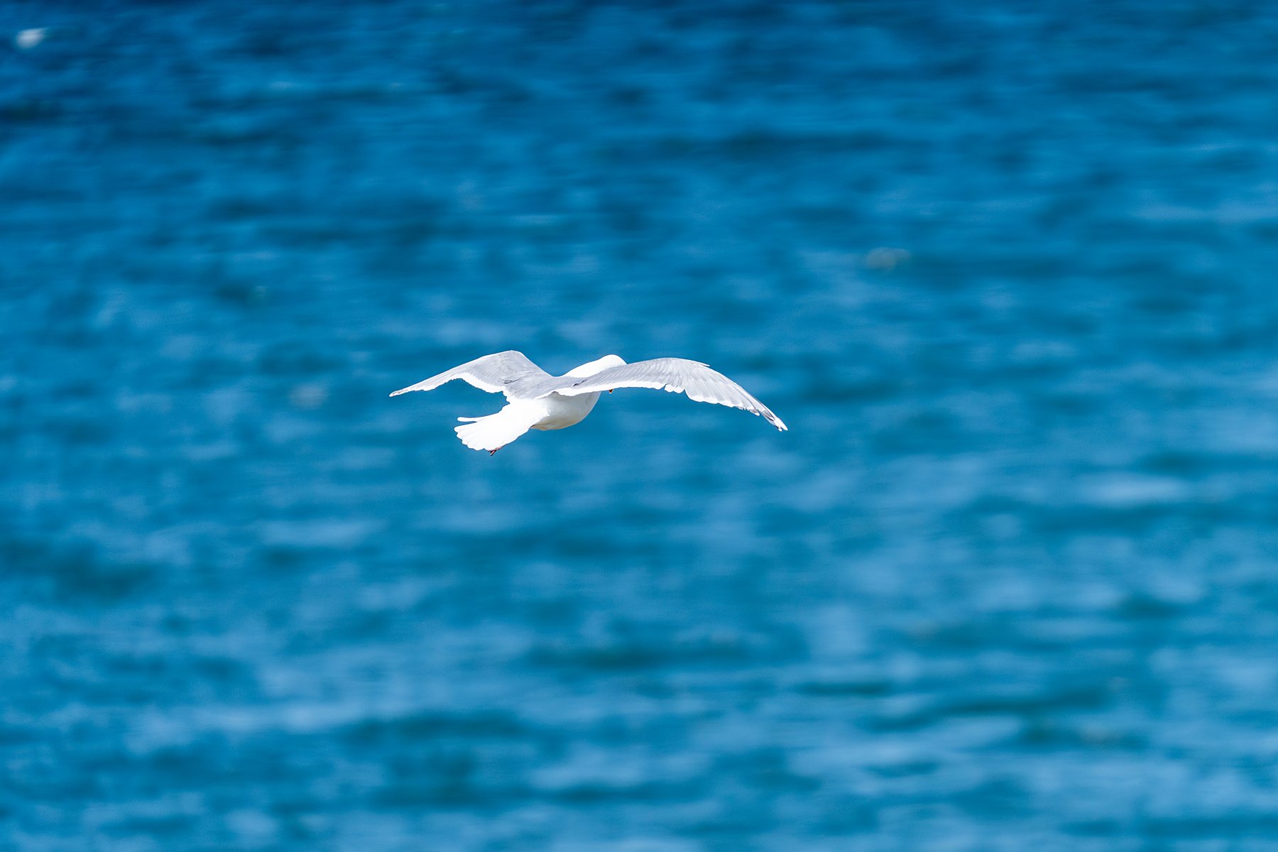 Anacortes area real estate photography example by Mirage Media