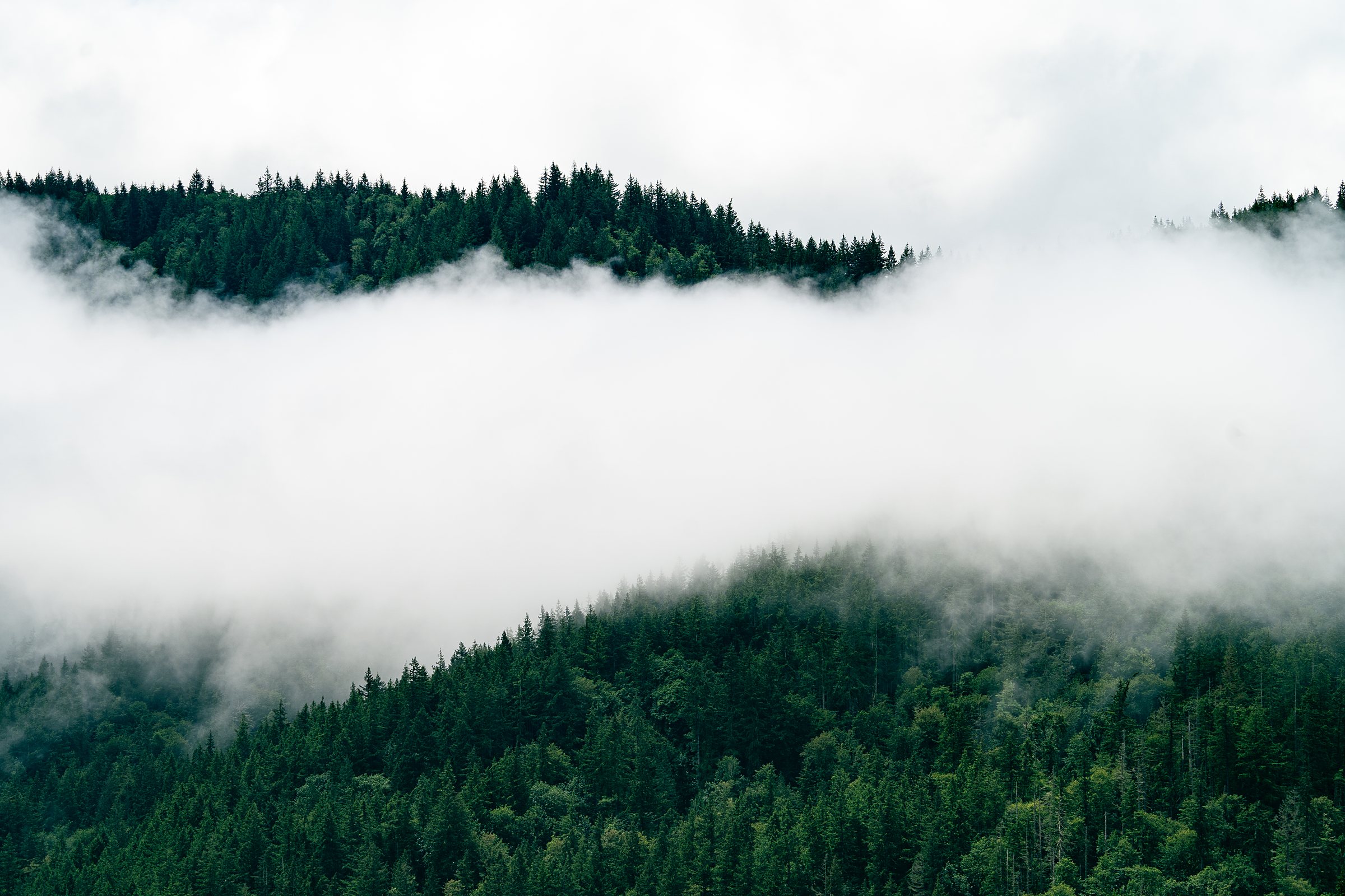 Fog rolling over forested ridgelines in Northwest Washington